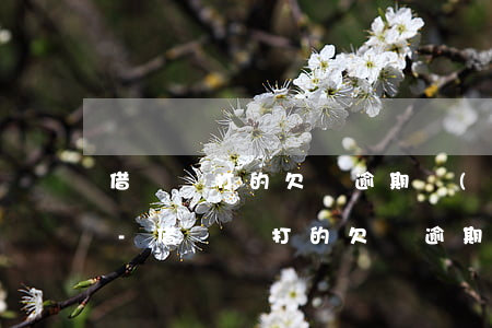借貸寶打的欠條逾期會(huì)被催收么-借貸寶打的欠條逾期會(huì)被催收么嗎