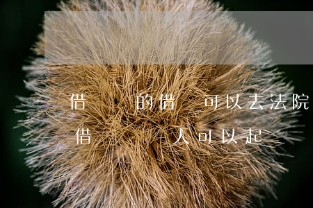 借貸寶的借條可以去法院起訴嗎(在借貸寶里借錢給別人,可以起訴嗎?)
