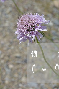 借貸寶能查到網(wǎng)貸逾期嗎(查網(wǎng)上有沒有欠網(wǎng)貸)