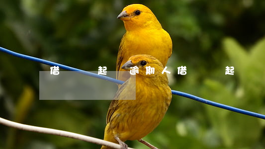 借貸寶起訴逾期人 借貸寶 起訴