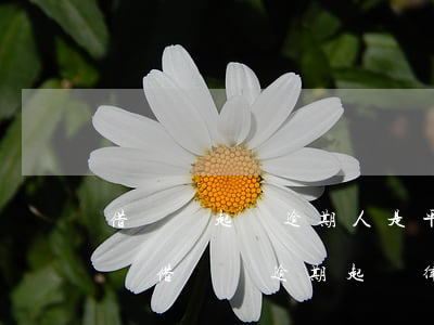 借貸寶起訴逾期人是平臺起訴還是出借人起訴（借貸寶逾期起訴律師）