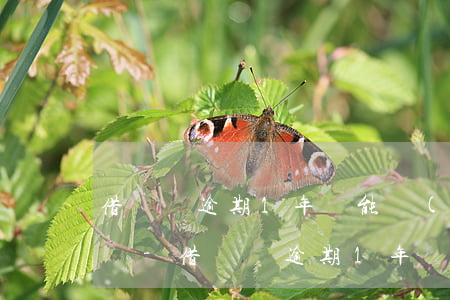 借貸寶逾期1年還能協(xié)商還本金嗎-借貸寶逾期1年還能協(xié)商還本金嗎