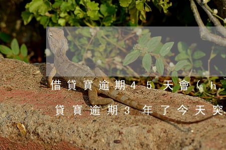 借貸寶逾期45天會(huì)起訴嗎-借貸寶逾期3年了,今天突然發(fā)個(gè)短信叫還款