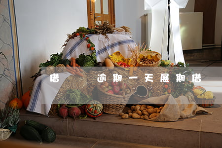 借貸寶逾期一天展期(借貸寶可以展期幾次)