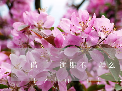 借貸寶逾期不還怎么辦已經(jīng)轉(zhuǎn)債-借貸寶逾期不還怎么辦已經(jīng)轉(zhuǎn)債了