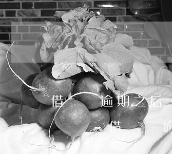 借貸寶逾期之后債權(quán)人可以銷賬嗎-借貸寶逾期之后債權(quán)人可以銷賬嗎