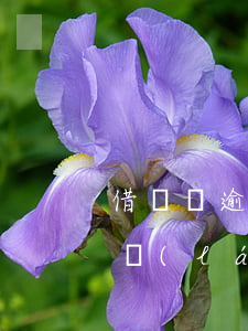 借貸寶逾期借到錢(qián)能不能提出來(lái)-借貸寶逾期了還能在借貸寶借到錢(qián)嗎