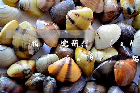 借貸寶逾期判決書(shū)(2020年借貸寶沒(méi)還起訴)