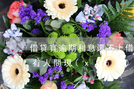 借貸寶逾期利息還不上(借貸寶逾期6年開始有人問現(xiàn)在沒人問了)