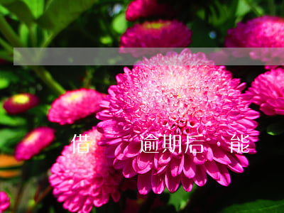 借貸寶逾期后還能繼續(xù)打借條嗎-