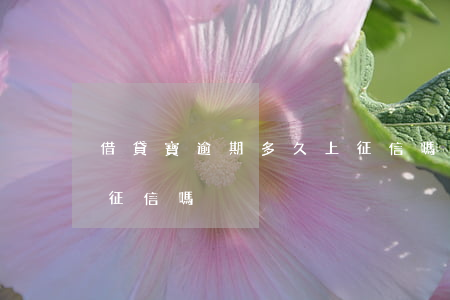借貸寶逾期多久上征信嗎（借貸寶逾期多久上征信嗎）