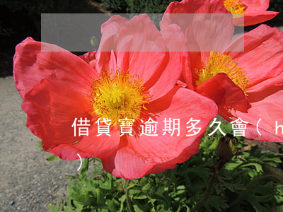 借貸寶逾期多久會(huì)上門(mén)