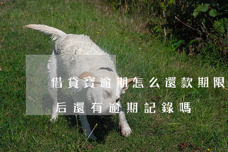借貸寶逾期怎么還款期限(借貸寶逾期還款以后,還有逾期記錄嗎)