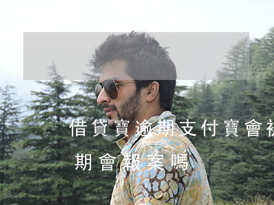 借貸寶逾期支付寶會被投訴么(支付寶貸款逾期會報案嗎)