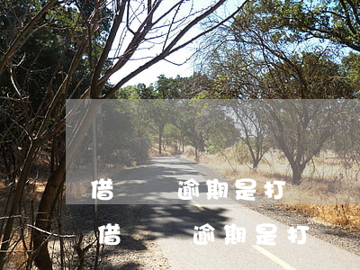 借貸寶逾期是打電話還是發(fā)短信-借貸寶逾期是打電話還是發(fā)短信給家人