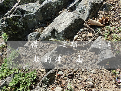借貸寶逾期發(fā)律師函(收到富寶貸催款的律師函)