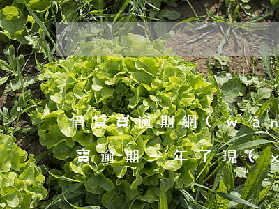 借貸寶逾期網(wǎng)貸還能借嗎(借貸寶逾期一年了現(xiàn)在還沒還還能借嗎)