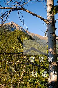 借貸寶逾期記錄怎么不給別人看到(借貸寶逾期還款以后,還有逾期記錄嗎)