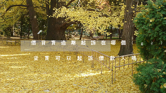 借貸寶逾期起訴在哪個(gè)法院起訴(借貸寶可以起訴借款人嗎)