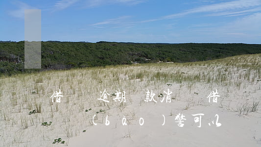 借貸寶逾期還款消條嗎(借貸寶還款了不給消條報(bào)警可以嗎?)