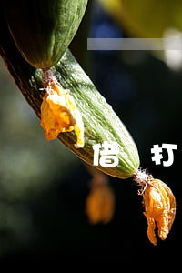 借貸打電話說逾期在打回去沒人接-借貸打電話說逾期在打回去沒人接電話