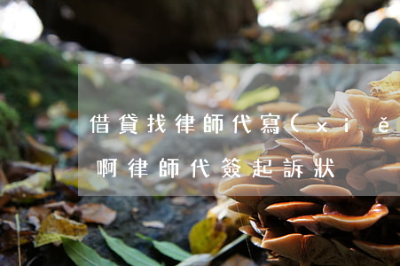 借貸找律師代寫(xiě)訴狀一般多少錢啊(律師代簽起訴狀)