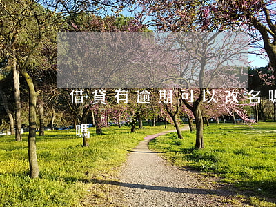 借貸有逾期可以改名嗎 借貸有逾期可以改名嗎