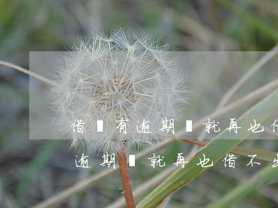 借貸有逾期過就再也借不出來了嗎-借貸有逾期過就再也借不出來了嗎怎么辦