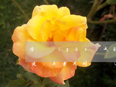借貸構(gòu)成犯罪能否認(rèn)定為夫妻共同債務(wù)