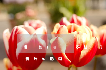 借貸款18萬還不起(銀行貸款18萬還不上有什么后果)