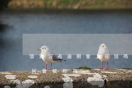 借貸沒有逾期會上征信嗎(借貸沒有逾期過為何會被秒拒)