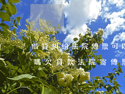 借貸糾紛法院傳票可以轉(zhuǎn)寄嗎(欠貸款法院寄傳票了)