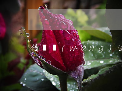 借貸網(wǎng)逾期起訴流程