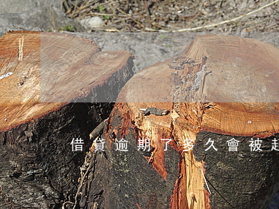 借貸逾期了多久會被起訴
