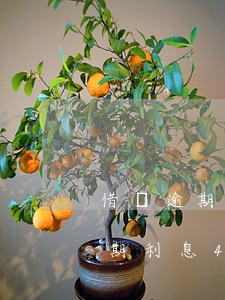 借貸逾期利息4.6是怎么計算的-借貸逾期利息4.6是怎么計算的呢