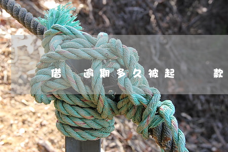 借貸逾期多久被起訴(貸款逾期多久才會被起訴)