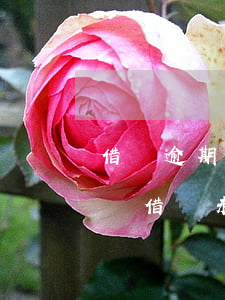 借貸逾期很久但沒(méi)到期可以起訴嗎(借貸未到期可以起訴嗎)