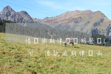 借貸逾期律師聲明登報(bào)紙有何作用-借款逾期律師函