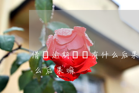 借貸逾期應訴有什么后果 借貸逾期應訴有什么后果嘛