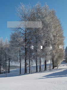 借貸逾期收到律師函(貸款逾期寄律師函)