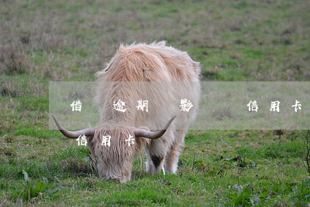 借貸逾期會影響辦信用卡嗎(貸款逾期影響辦信用卡嗎)