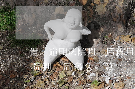 借貸逾期法院判決后再月月還款(民間借貸法院判決后多久還款)