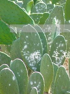 借貸逾期的起訴條件(貸款逾期起訴條件)