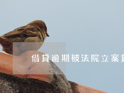 借貸逾期被法院立案(貸款逾期被起訴開庭)
