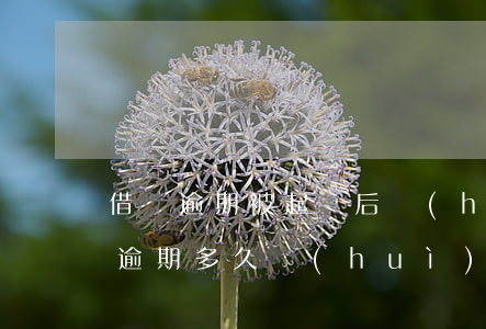 借貸逾期被起訴后會(huì)坐牢嗎 貸款逾期多久會(huì)被起訴坐牢