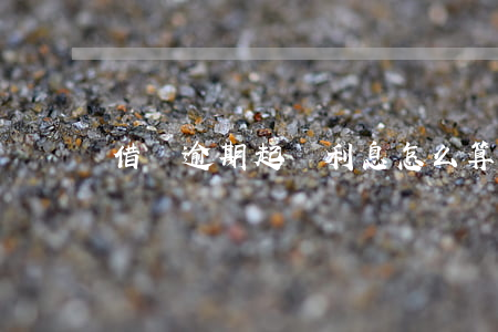 借貸逾期起訴利息怎么算