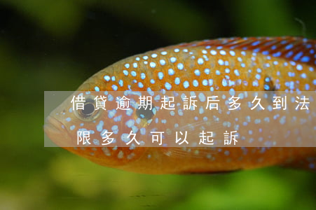 借貸逾期起訴后多久到法院(借款到了還款期限多久可以起訴)