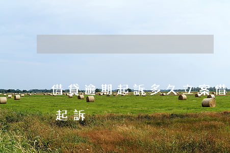 借貸逾期起訴多久立案(借款人逾期多久可以起訴)