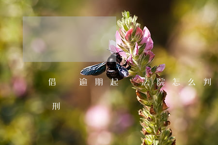 借貸逾期起訴法院怎么判決 貸款逾期起訴判刑嗎