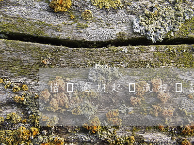 借貸逾期起訴流程(貸款逾期被起訴的流程)
